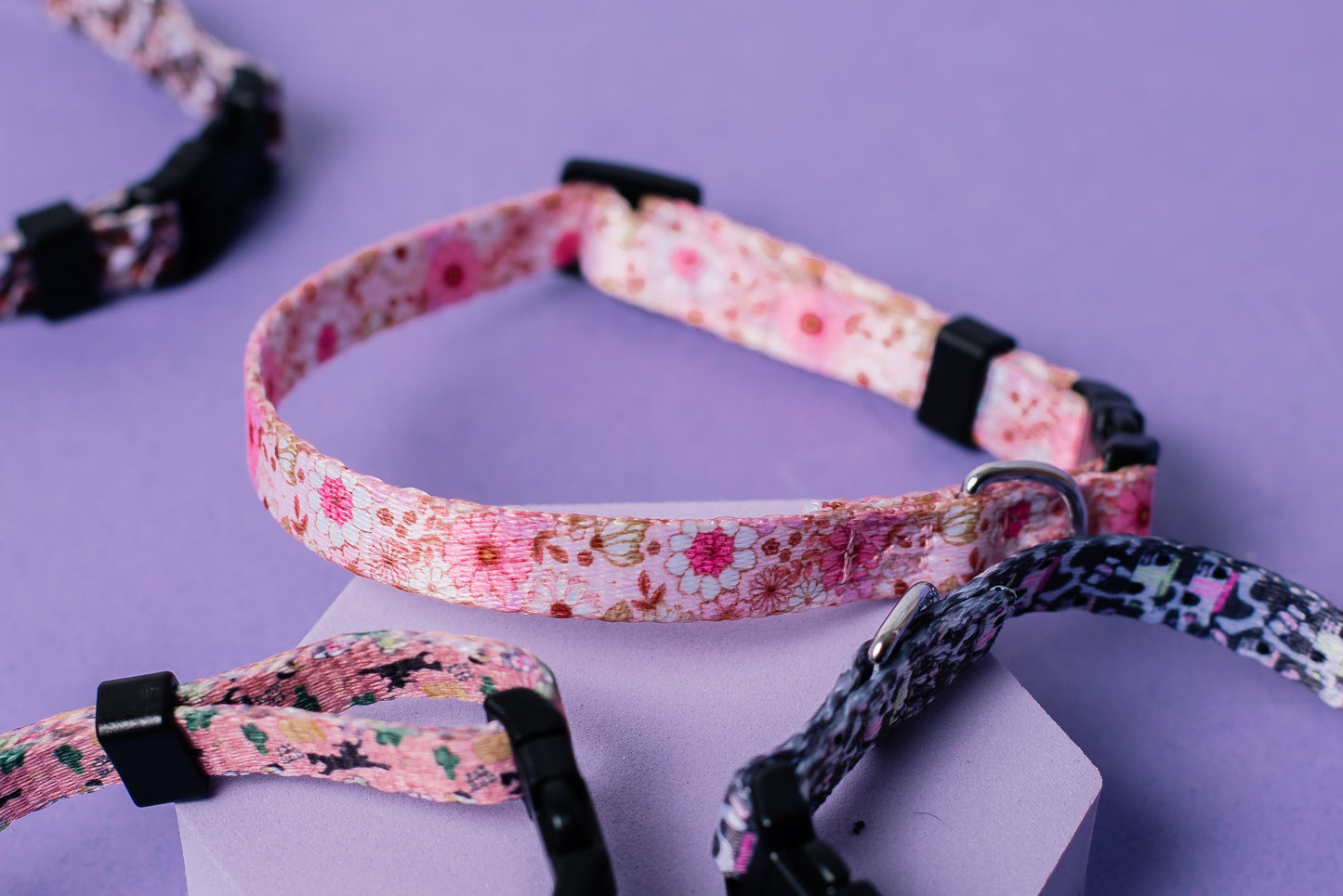 Bit of a Coo Cat & Puppy Collar