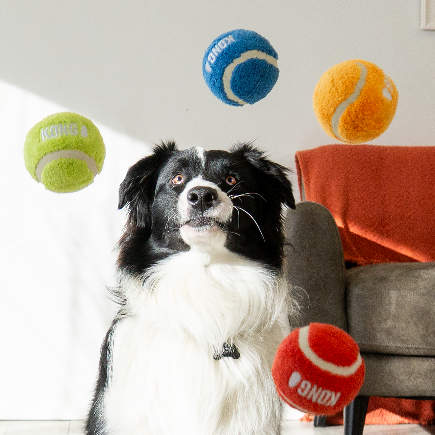 KONG Sport Softies 2pk