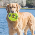 KONG AirDog Donut medium