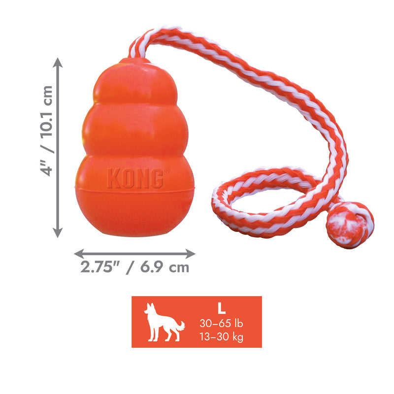 KONG Aqua Large