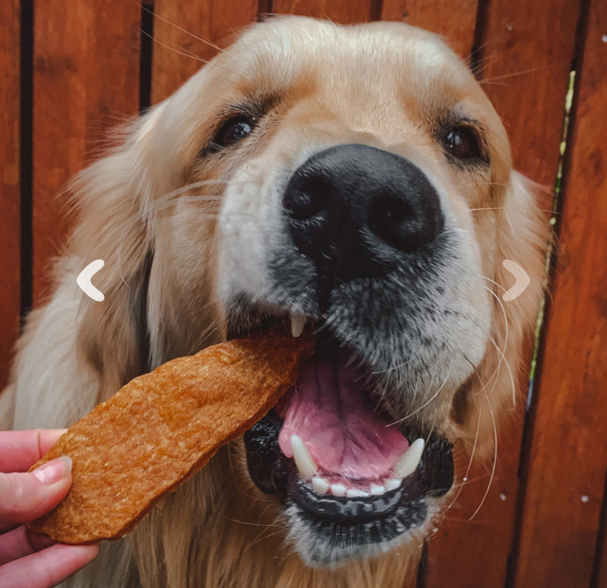 Chicken Jerky
