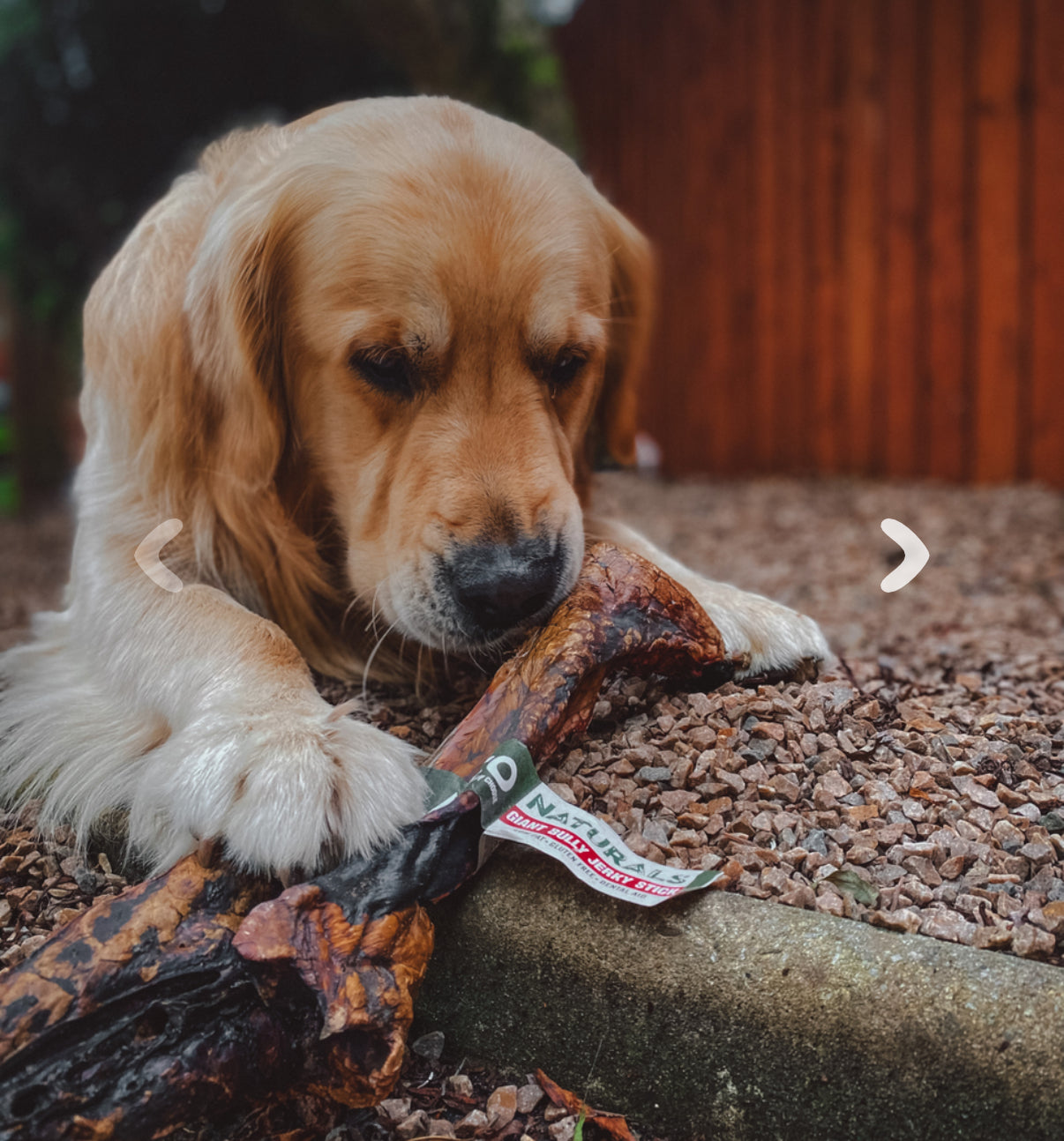 Giant bully jerky stick