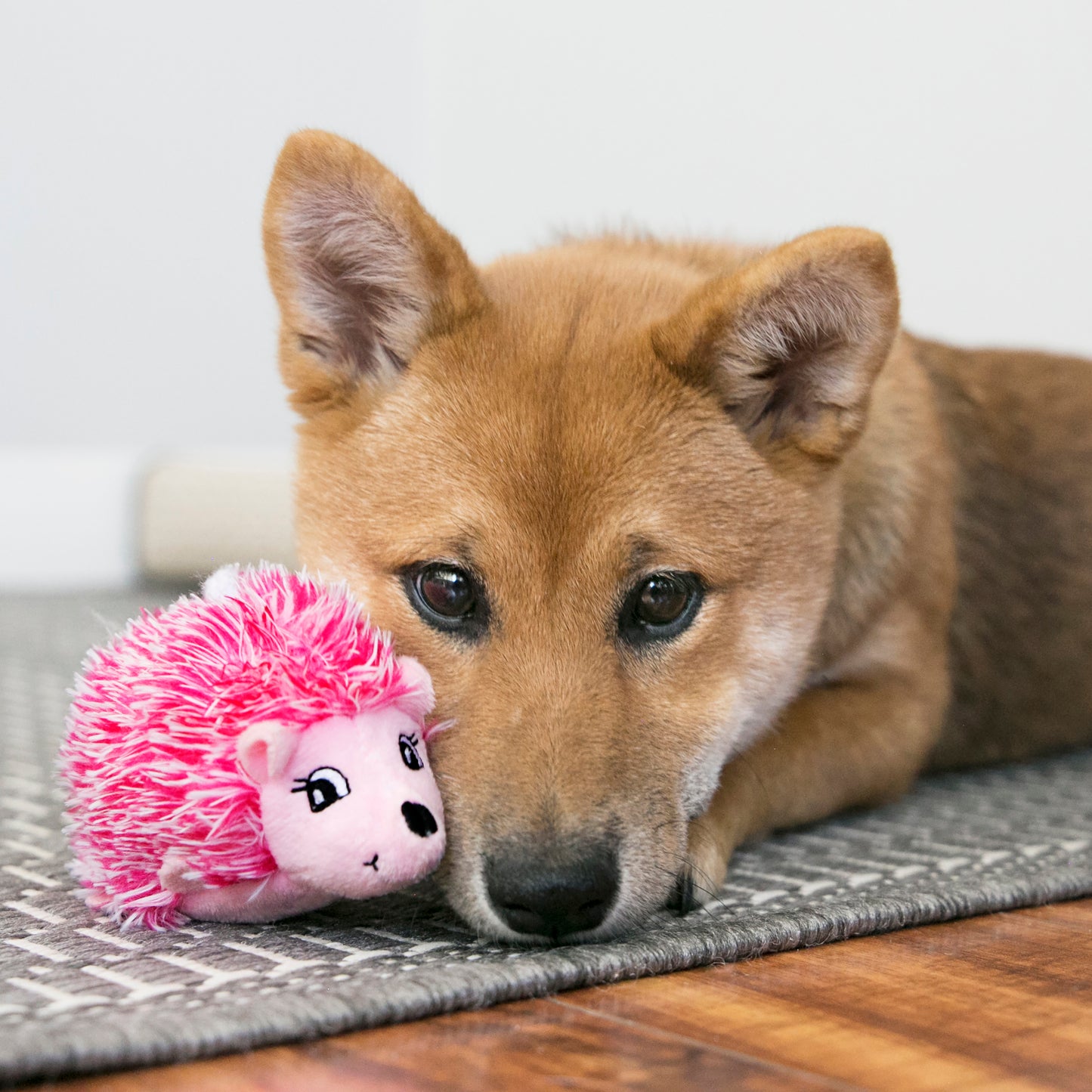 KONG Comfort HedgeHug Puppy XS