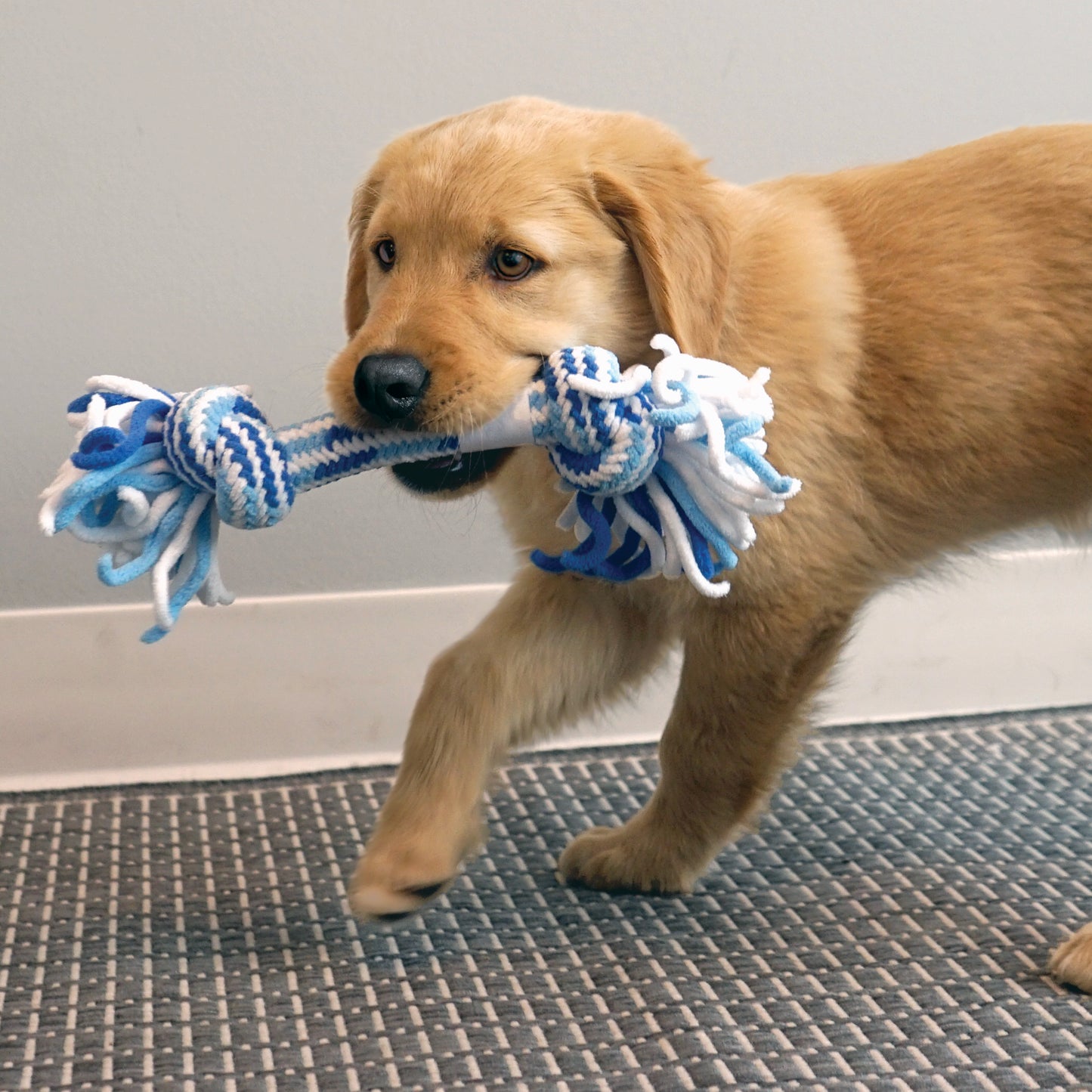 KONG Rope Stick Puppy