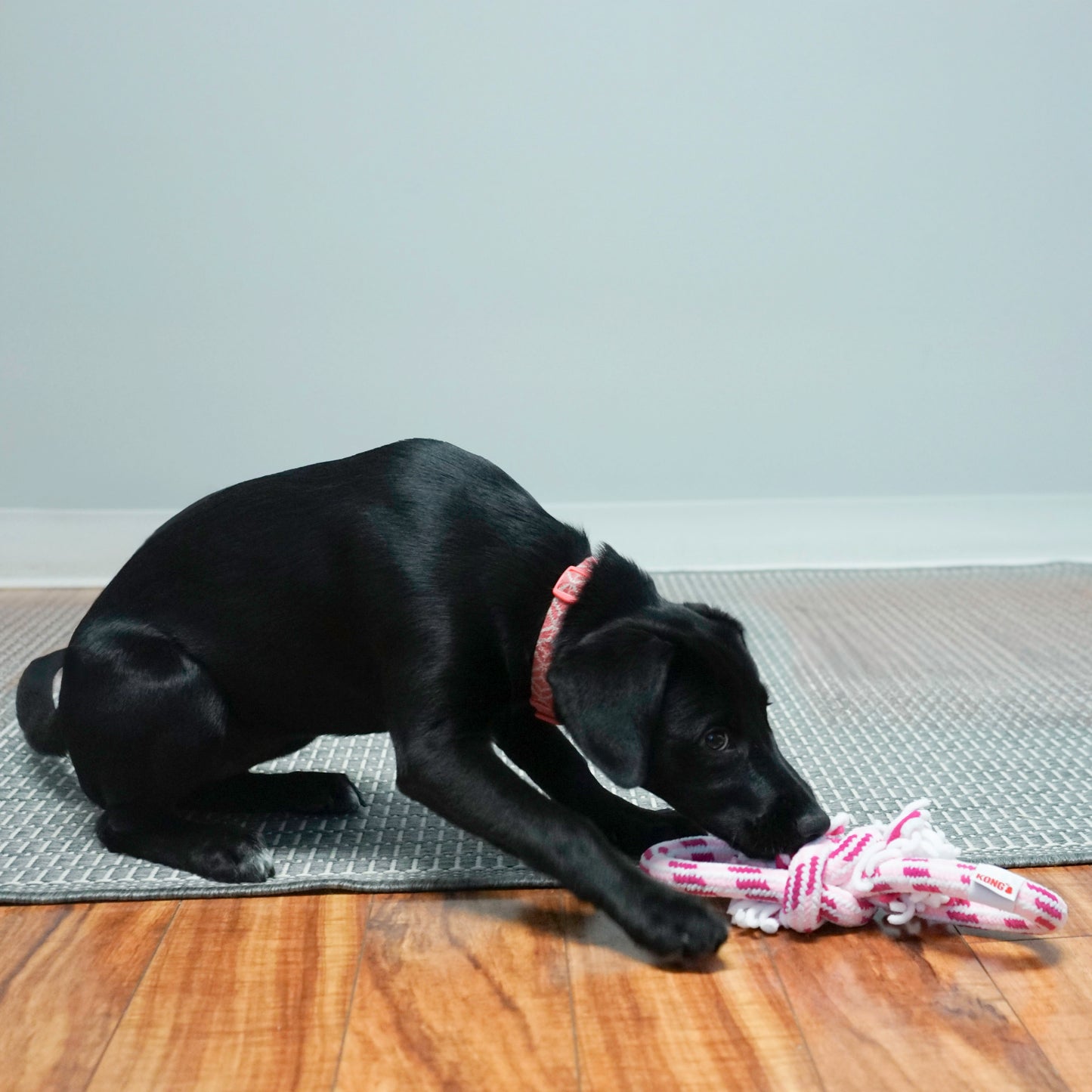 KONG Rope Ball Puppy Large