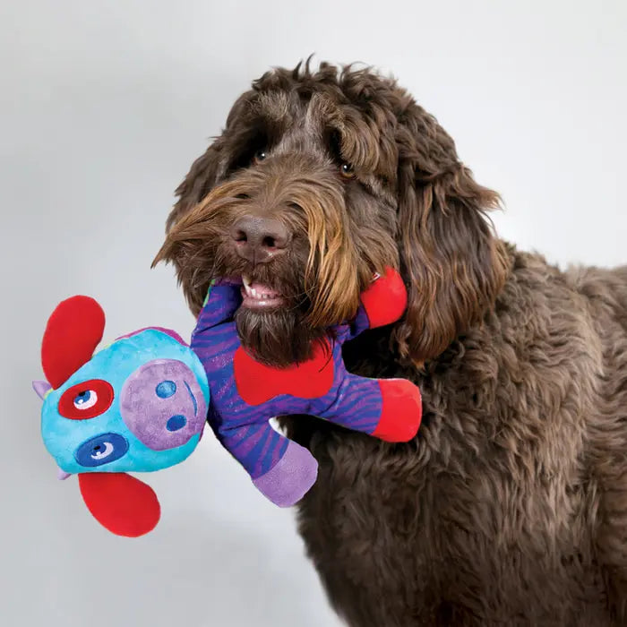 KONG Switcheroos