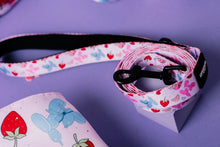 Load image into Gallery viewer, Summer Picnic Leads
