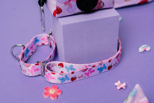 Load image into Gallery viewer, Summer Picnic Dog Collar
