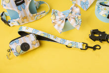Load image into Gallery viewer, Lemon Drop Leads
