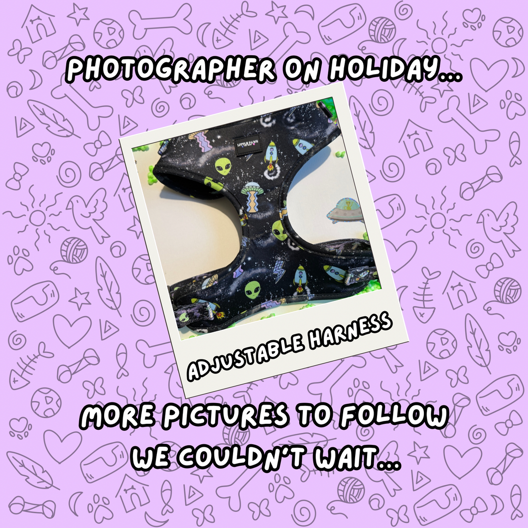 Cosmic Paws Adjustable Dog Harness