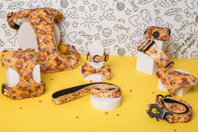 Load image into Gallery viewer, Oh, Honey Dog Collar
