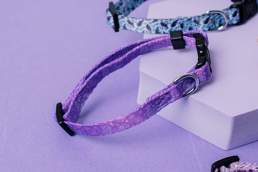 Purple Icecream Cat & Puppy Collar