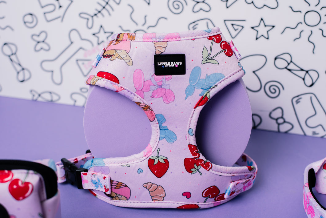 Summer Picnic Adjustable Dog Harness