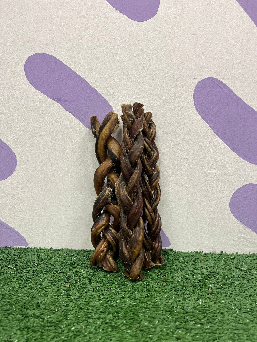 12cm Braided Pizzle