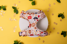 Load image into Gallery viewer, Ahoy! Puppers Adjustable Dog Harness
