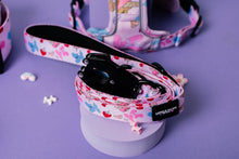 Load image into Gallery viewer, Summer Picnic Leads
