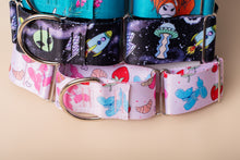 Load image into Gallery viewer, Summer Picnic 2” Martingale Collar
