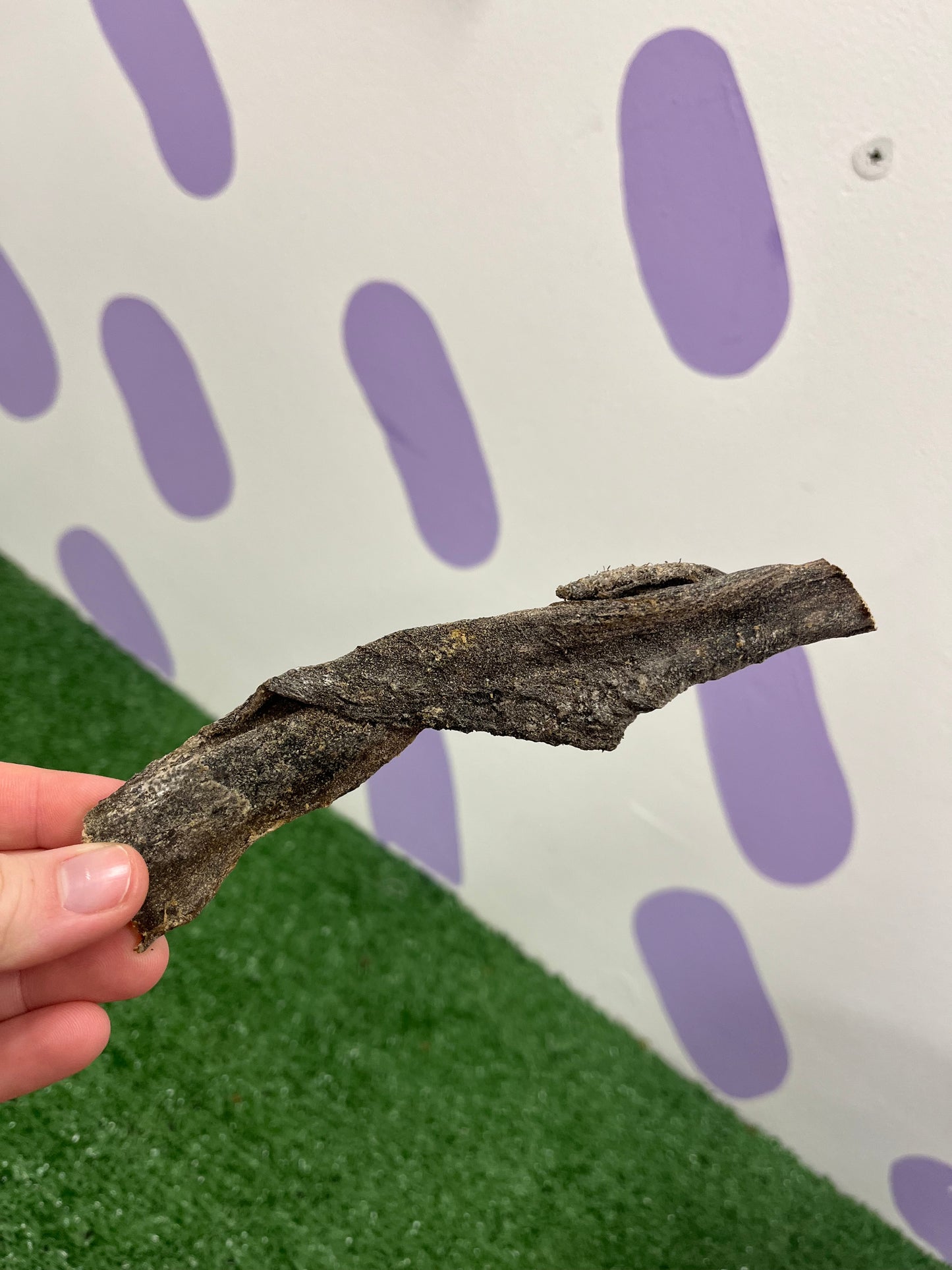 Tripe Sticks