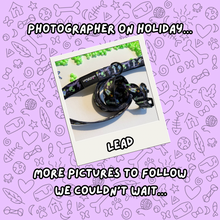 Load image into Gallery viewer, Cosmic Paws Leads
