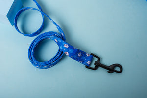 Land Shark Lead’s