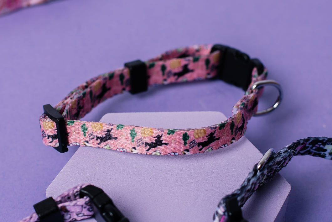 YEE Paw! Cat & Puppy Collar