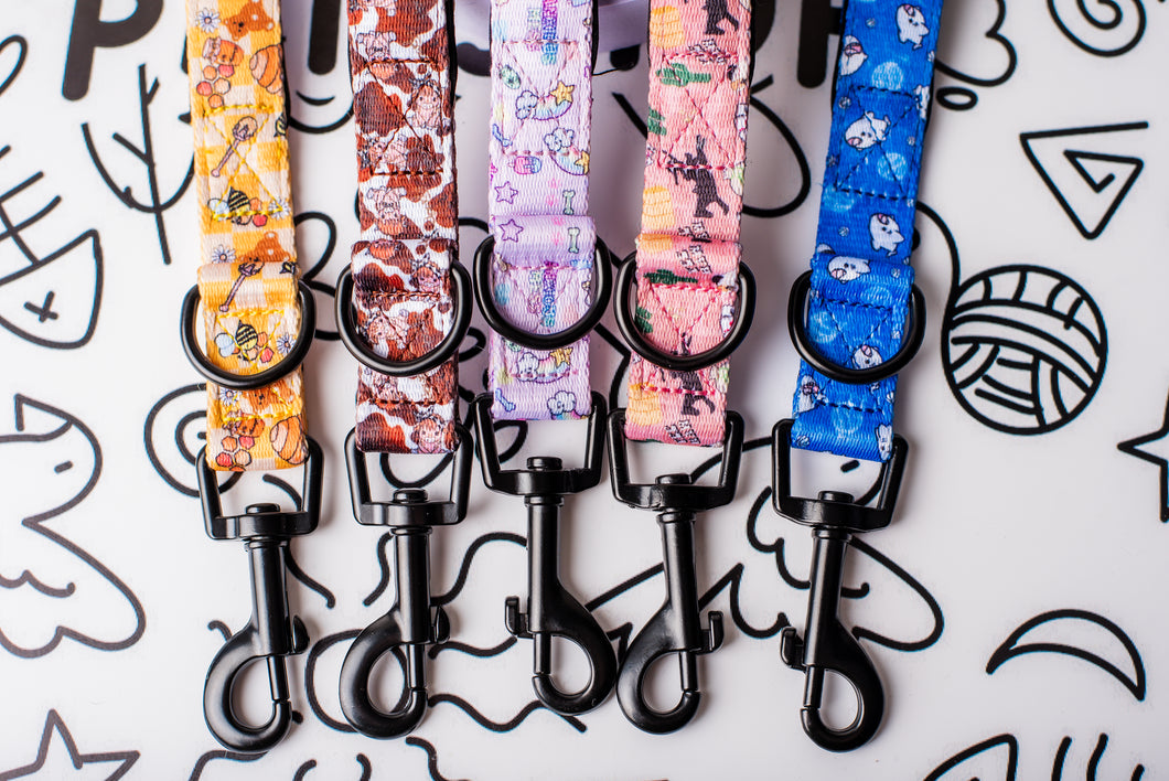 Bit Of A Coo Lead’s