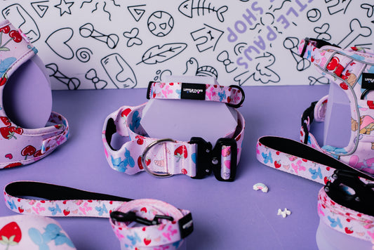 Summer Picnic Dog Collar