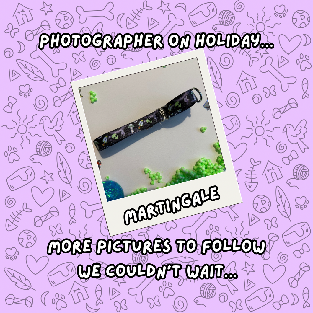 Cosmic Paws Martingale Collar