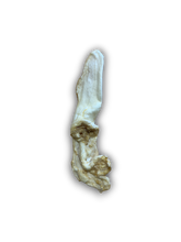 Load image into Gallery viewer, Puffed Rabbit Ears
