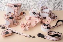 Load image into Gallery viewer, Beary Loved Dog Collar
