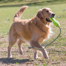 Load image into Gallery viewer, KONG AirDog fetch stick with rope large
