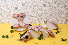 Load image into Gallery viewer, Ahoy! Puppers Adjustable Dog Harness
