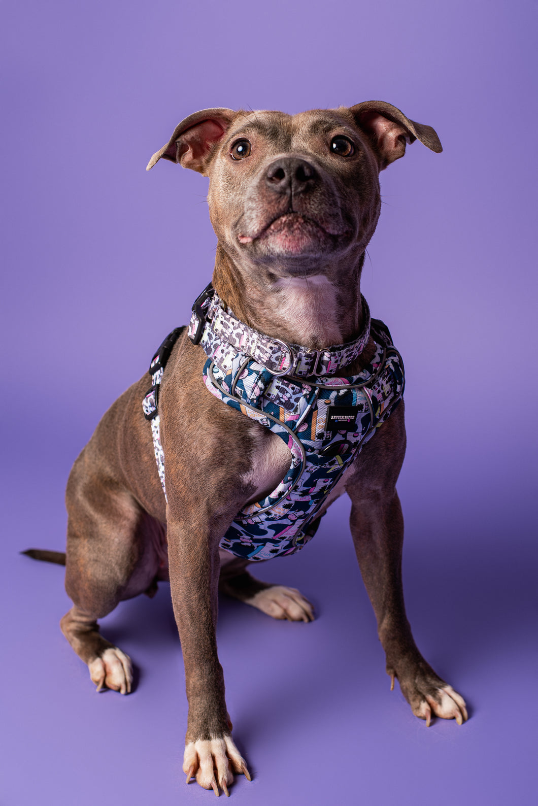 Cunt Shake Heavy Duty Harness