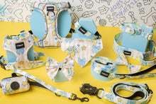 Load image into Gallery viewer, Lemon Drop Leads
