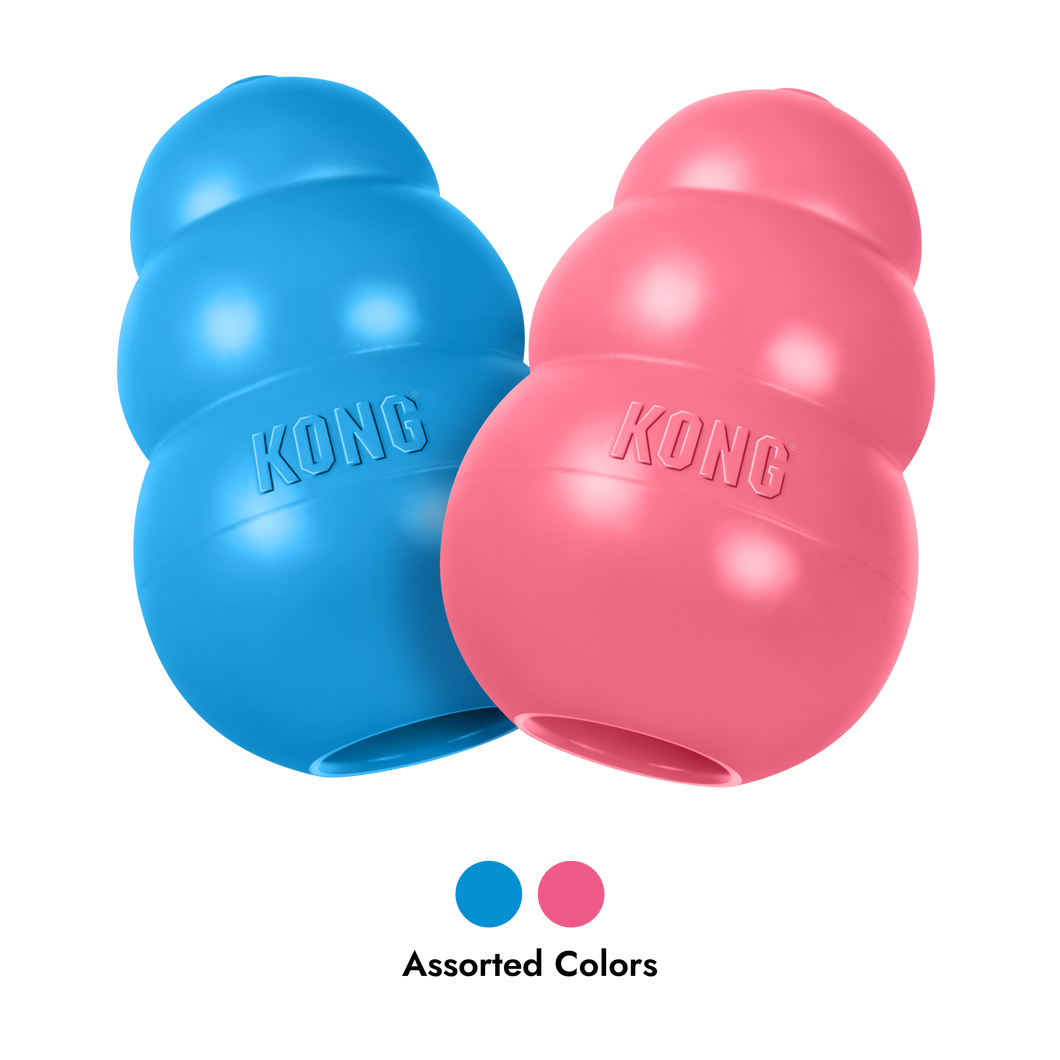 KONG Puppy
