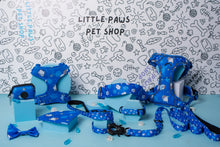 Load image into Gallery viewer, Land Shark Adjustable Dog Harness
