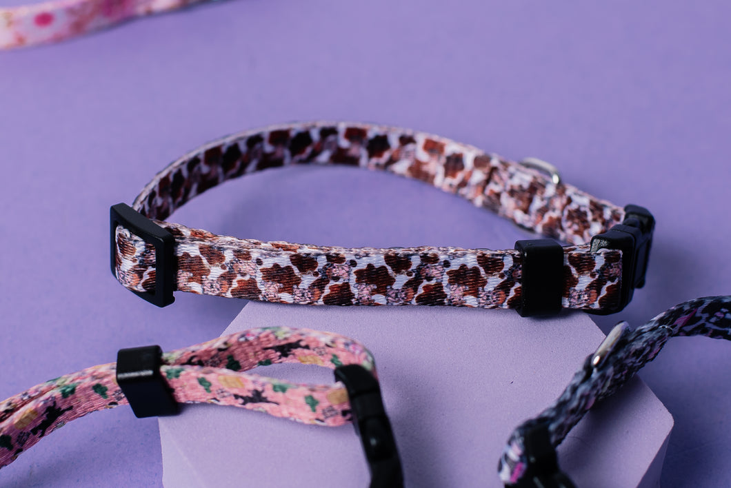 Bit of a Coo Cat & Puppy Collar