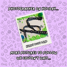 Load image into Gallery viewer, Cosmic Paws Leads
