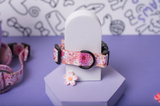 Blossom Babe Dog Collar