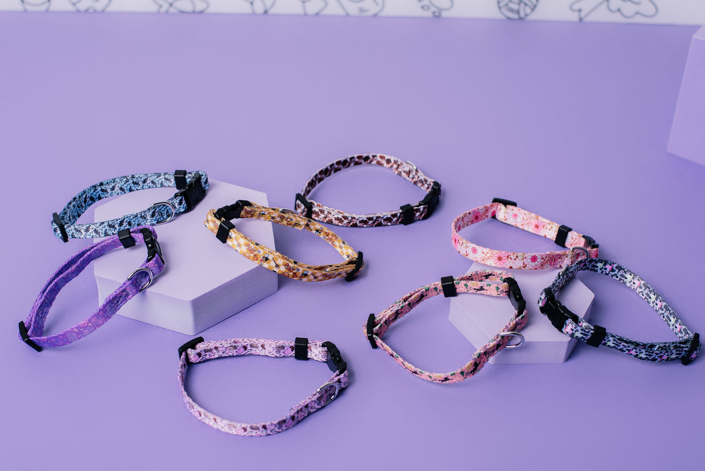 Bit of a Coo Cat & Puppy Collar