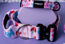 Load image into Gallery viewer, Summer Picnic Dog Collar

