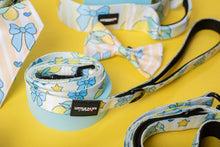 Load image into Gallery viewer, Lemon Drop Leads
