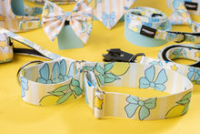 Load image into Gallery viewer, Lemon Drop Martingale Collar
