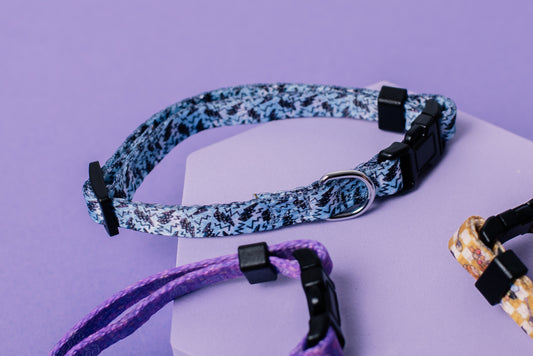 Blue Lightning Cat & Puppy Collar