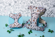 Load image into Gallery viewer, Adventure Heavy Duty Harness
