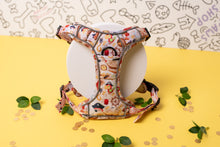 Load image into Gallery viewer, Ahoy! Puppers Heavy Duty Harness
