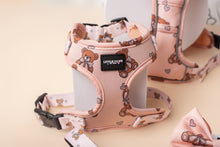 Load image into Gallery viewer, Beary Loved Adjustable Dog Harness
