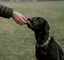 Load image into Gallery viewer, Bully Danglers
