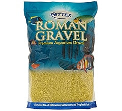 Aquatic Roman Gravel Lemon Zest