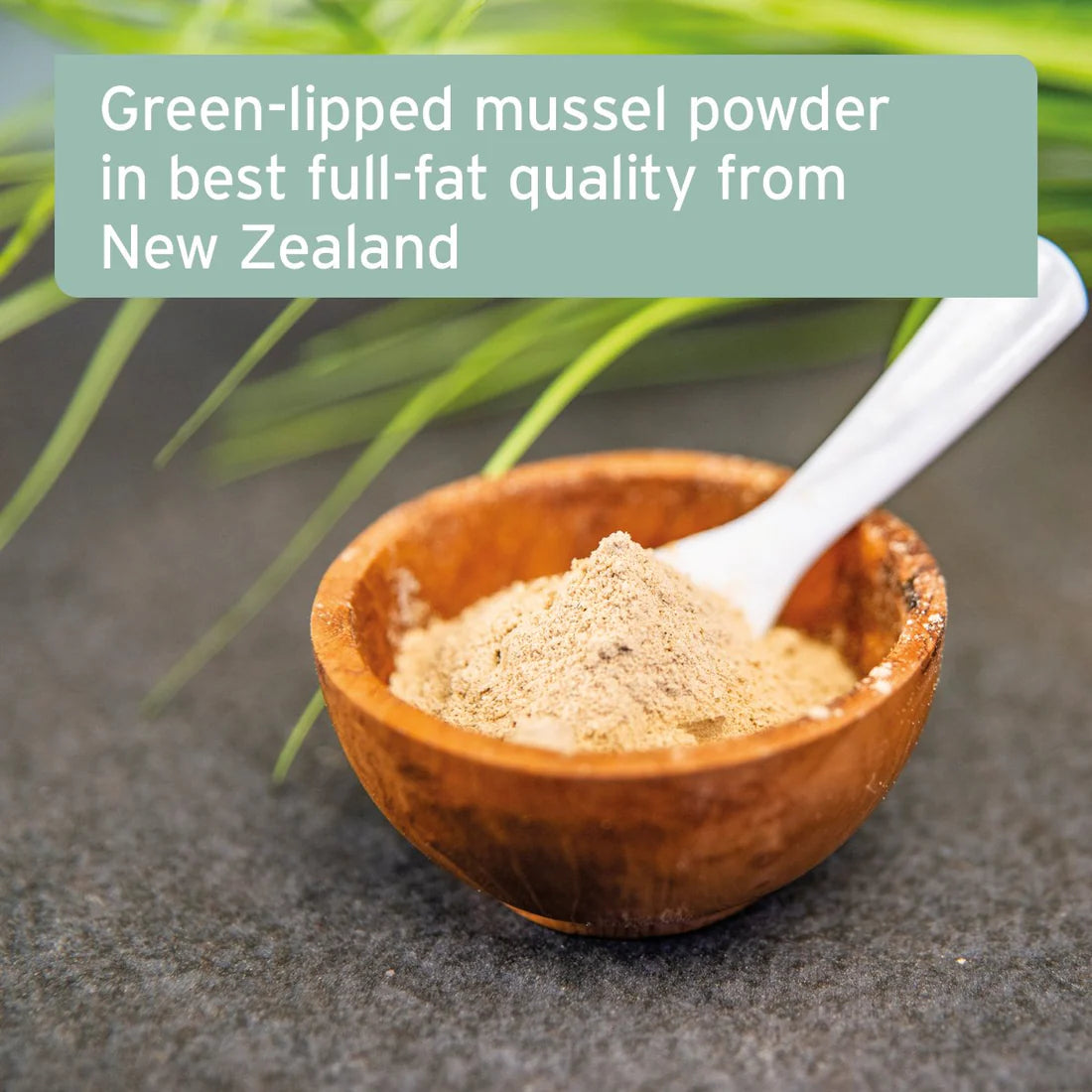 AniForte Green Lipped Mussel Powder for Dogs and Cats